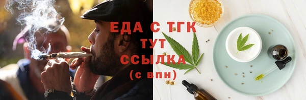 шишки Няндома