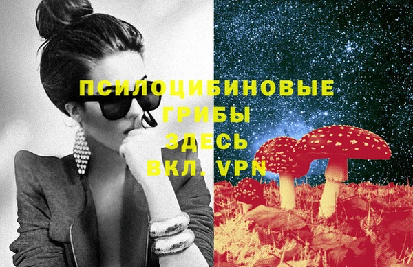 spice Нягань