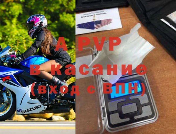 шишки Няндома